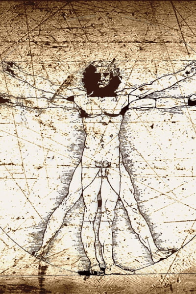 Human-Body-Systems