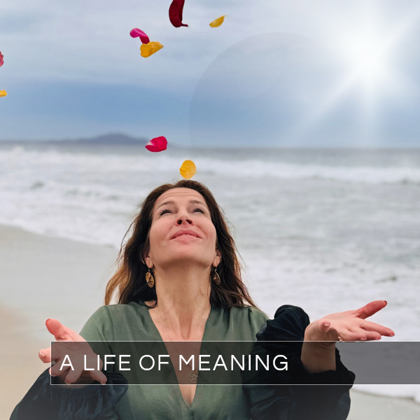 A-LIFE-OF-MEANING