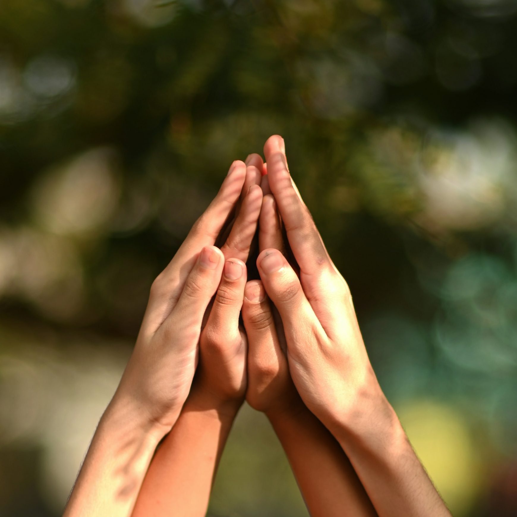 rajesh-rajput-MWp6OKW5tWk-unsplash