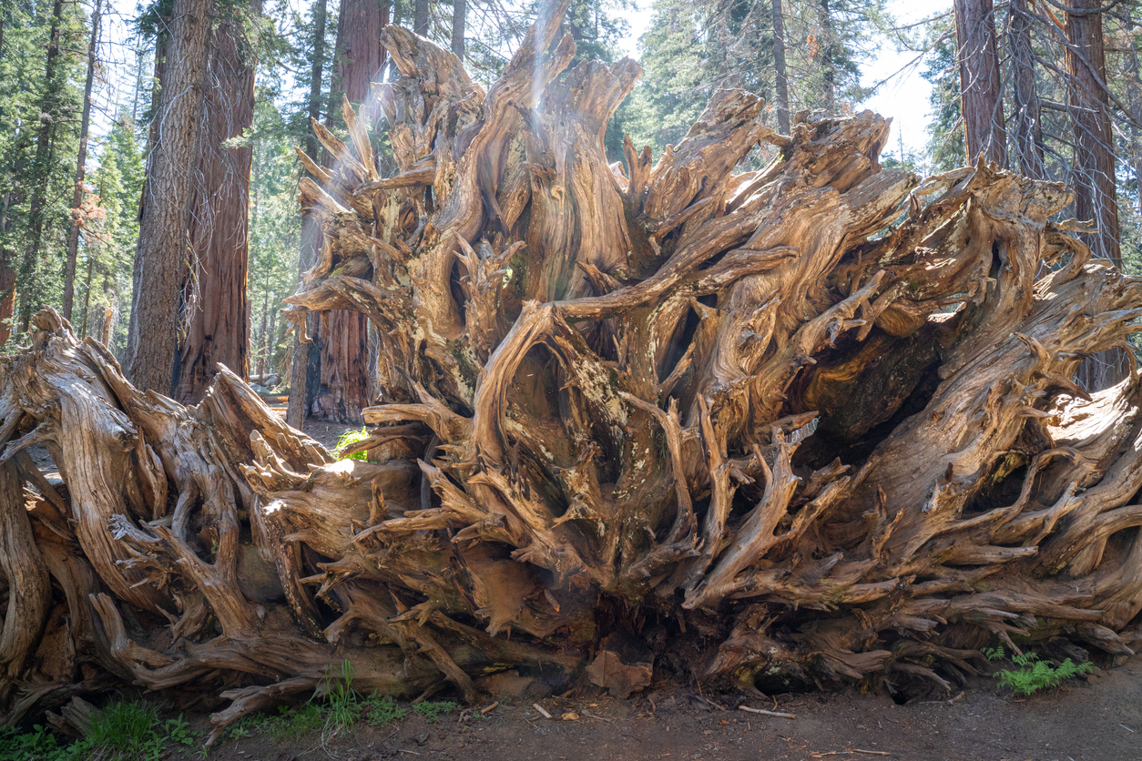 When a spiritual practice is uprooted?